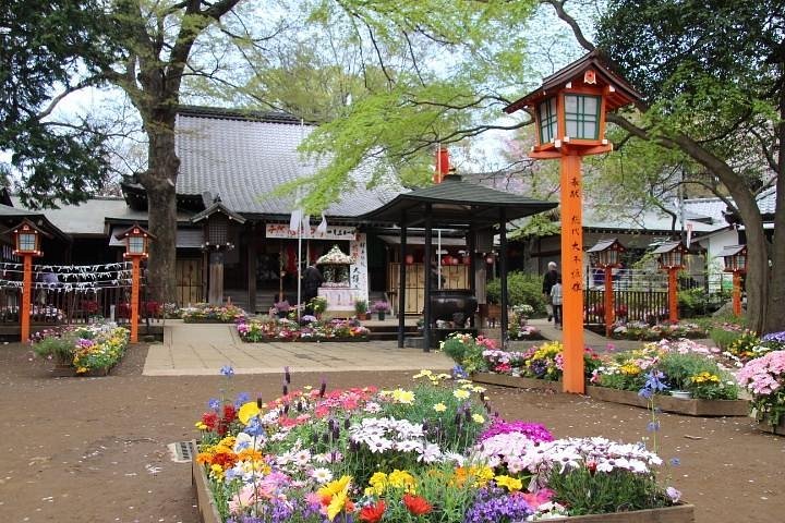 ⛩️ 만간지(도도로키 부동존) 이미지 5